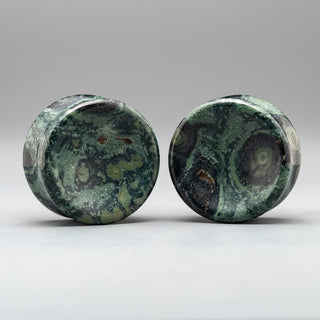 Kambaba Jasper Double Flare Plugs # JR-028-1-C (28mm)